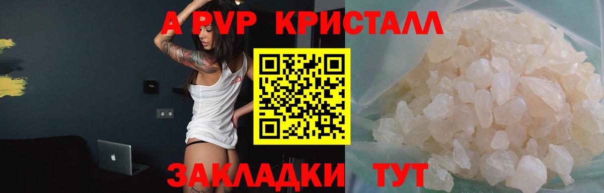A PVP  Вход с VPN  Кимовск  Alfa_PVP СК КРИС 