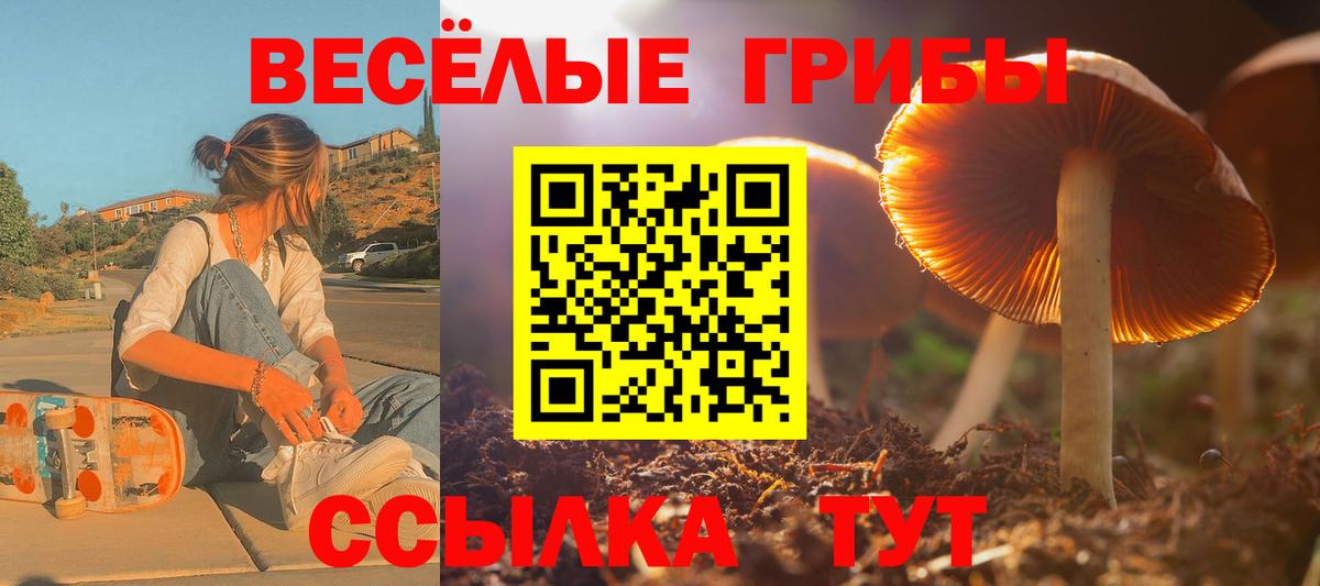 Галлюциногенные грибы Cubensis Кимовск